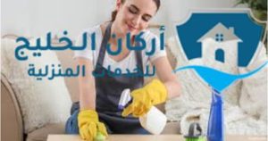 شركة تنظيف منازل بالرياض